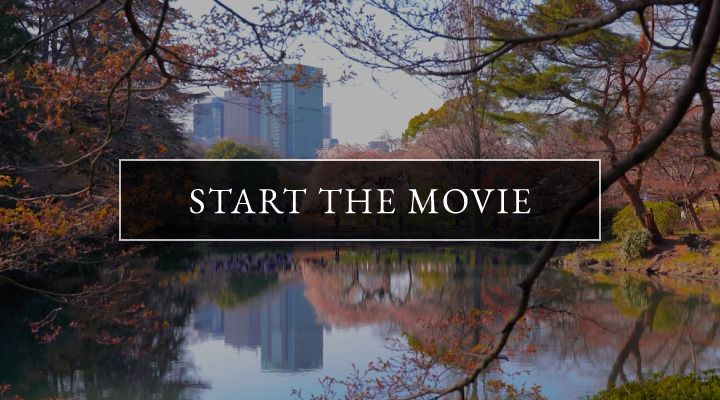 START THE MOVIE
