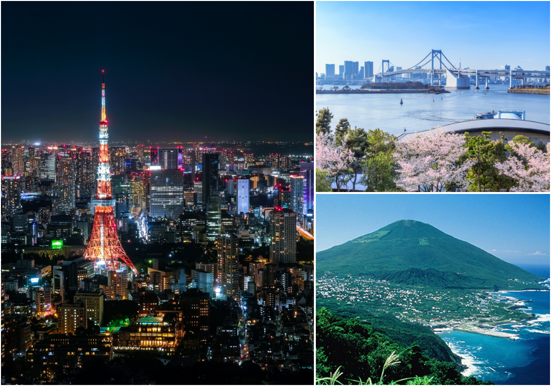 Chiyoda,Chuo,Minato,Bunkyo,Koto wards and the island area