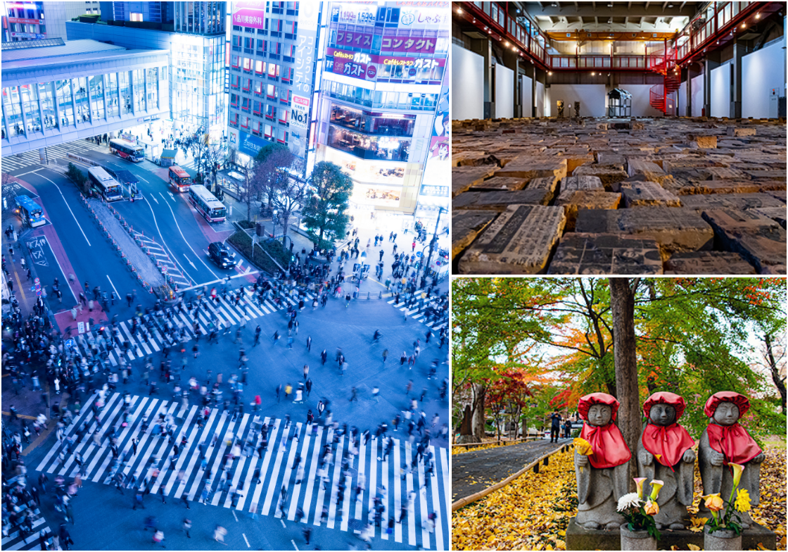 Shinjuku, Shibuya, Suginami, Shinagawa, Ota, Setagaya and Meguro area