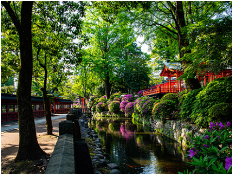 Nezu Shrine