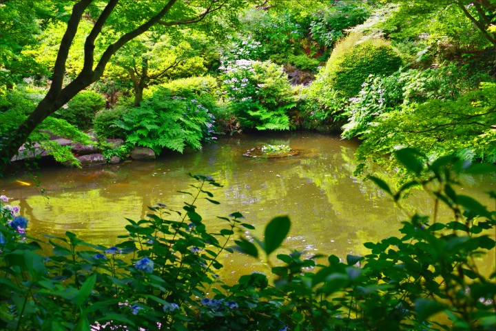 Ikedayama Park