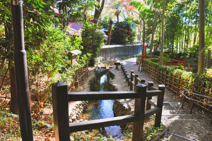 Otaka no Michi & Masugata Pond Springs