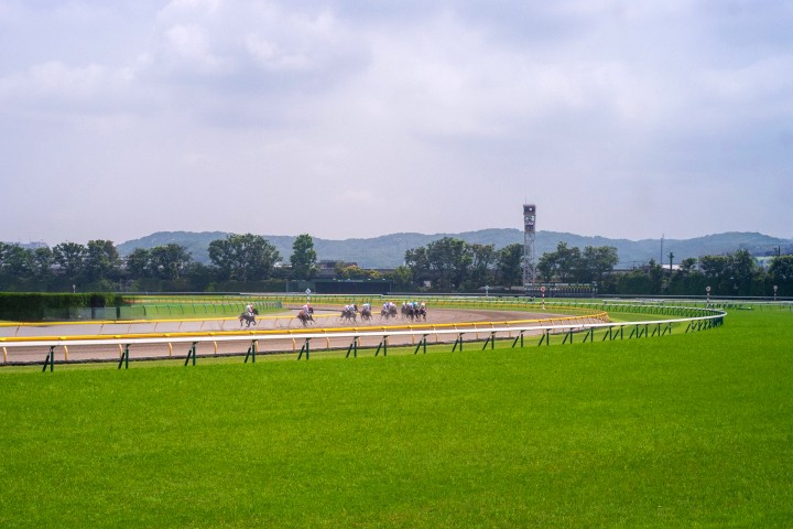 Tokyo Racecourse