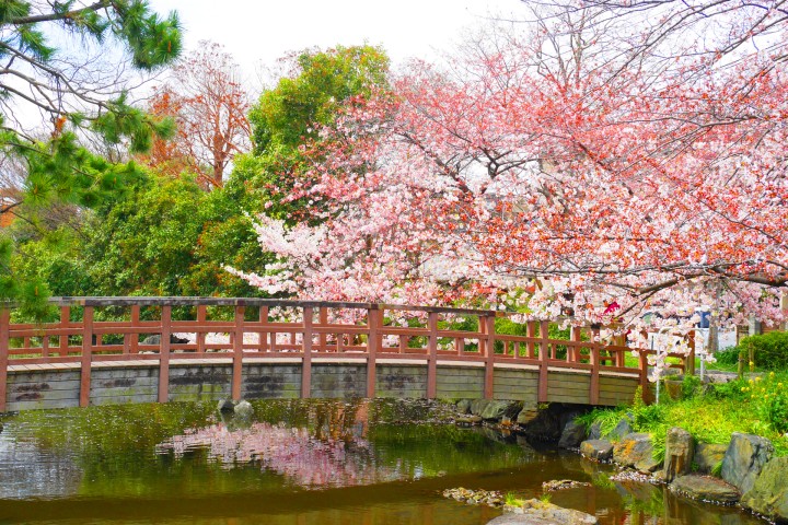 Higashi Ayase Park