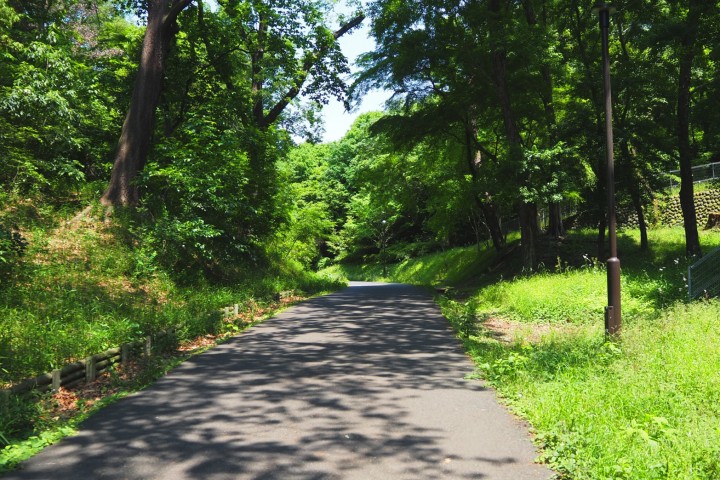 Sayama Nature Park