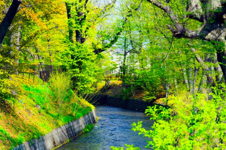 Tamagawa Josui Greenway