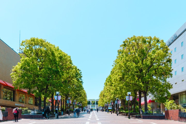 Parthenon Avenue