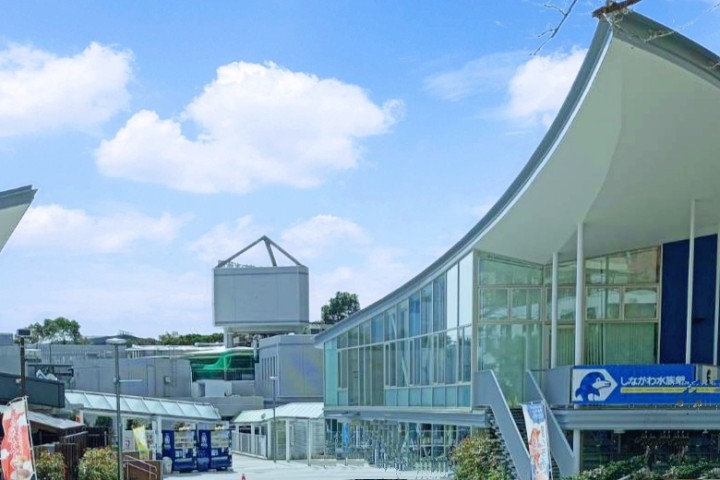 Shinagawa Aquarium