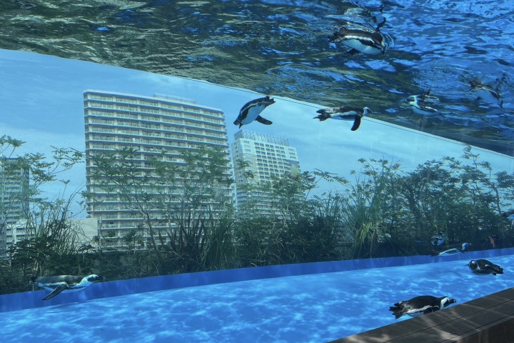 Sunshine Aquarium