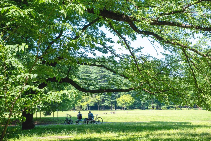 Tokyo Metropolitan Koganei Park