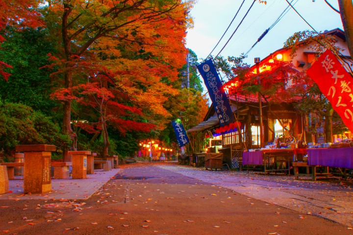 Jindaiji Temple Approach