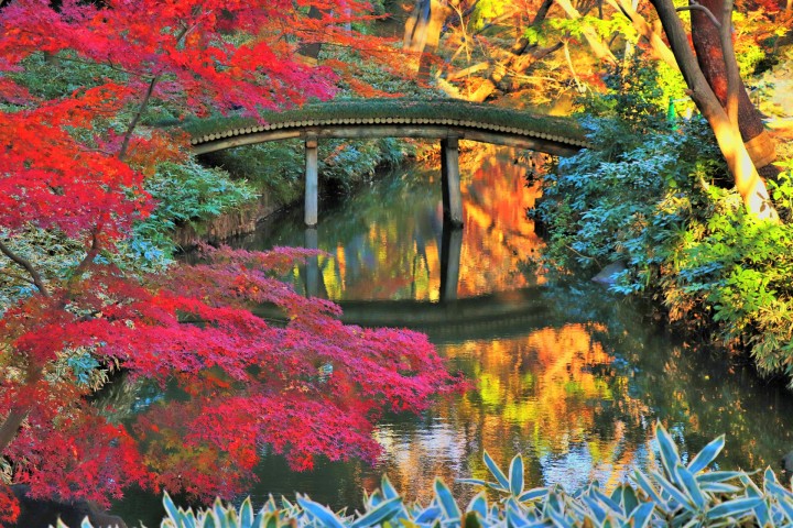 Rikugien Garden