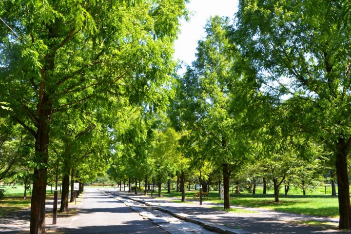 Toneri Park