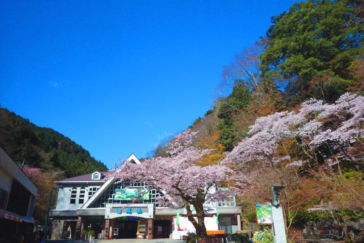 Takao Mountain